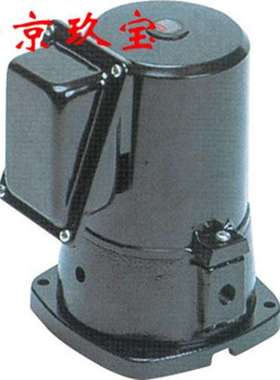 NQJ-100E日本TERAL泰拉尔水泵LPW403C-2.2    NQJ-250G