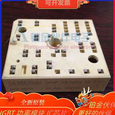 SKIIP20NAB12T17 SKIIP20NAB12T18 SKIIP20NAB12T45 模块拍前询价