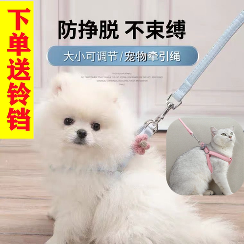 可调节防挣脱小花外出专用牵引绳