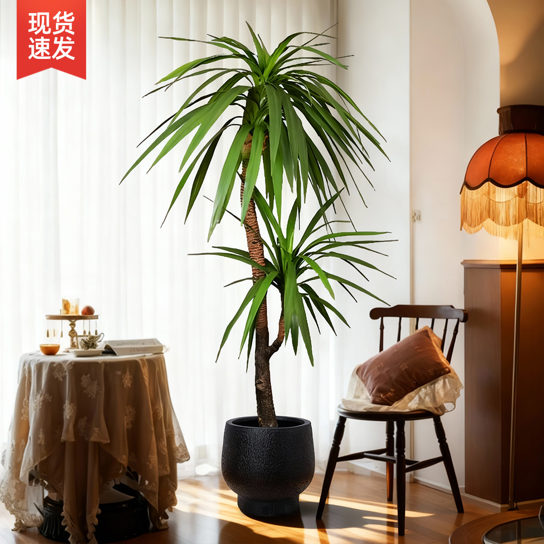 绿植仿真龙须树室内高级感客厅