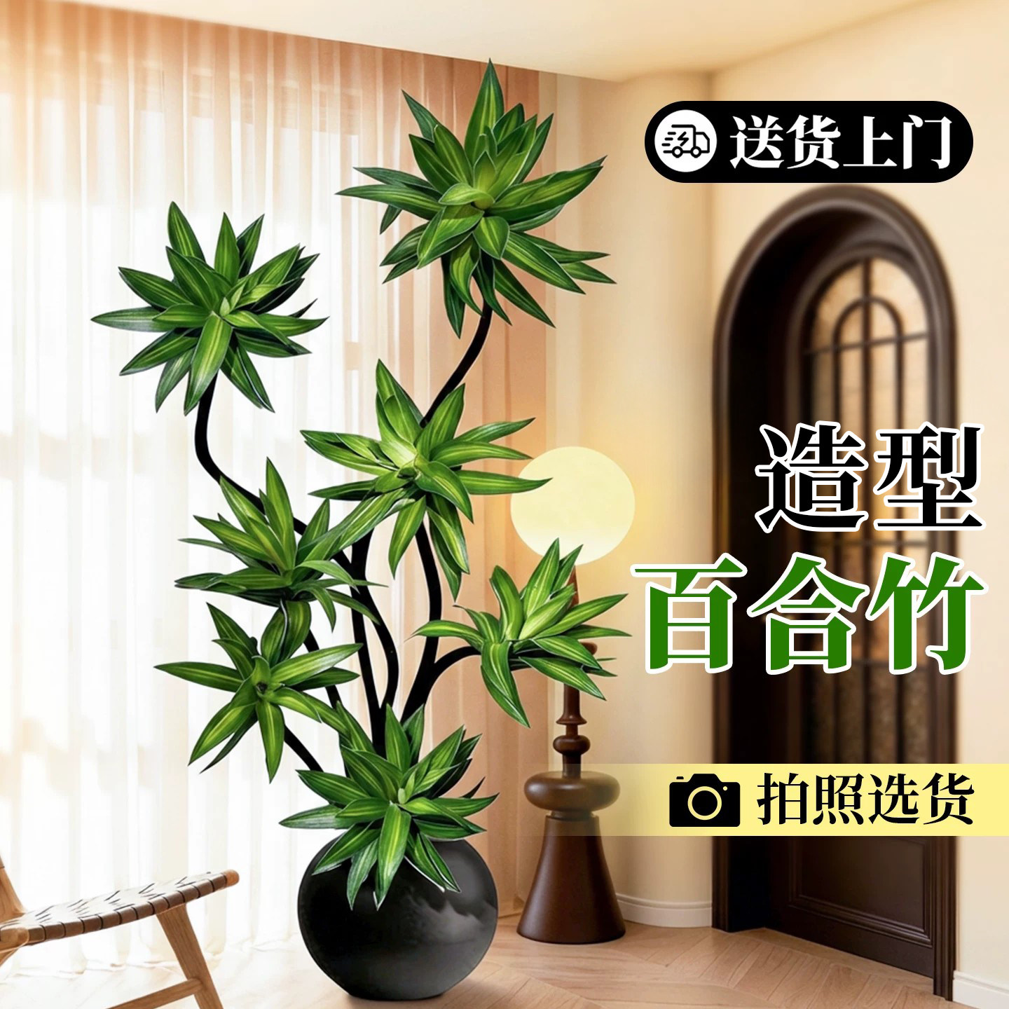 造型百合竹室内绿植好养高级感