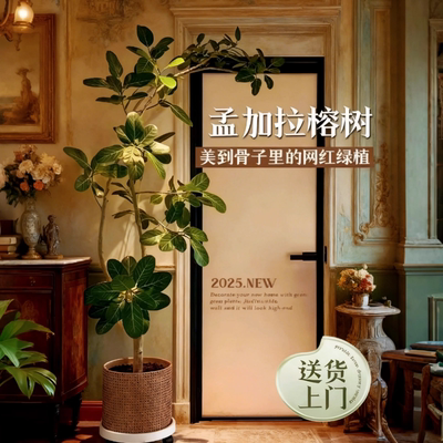 仿真绿植孟加拉榕中古风高级感