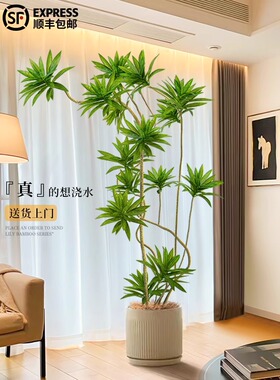 百合竹模拟绿色植物盆栽大型室内装饰花卉客厅装饰品落地树高端彷