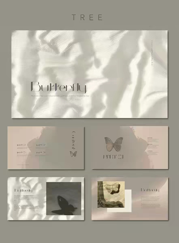 【高级感PPT模板蝴蝶梦】轻奢丝绸风产品介绍宣传设计提案画册