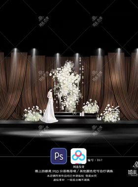 B67韩式简约大气巧克力咖色布幔婚礼白色满天星舞台背景图psd
