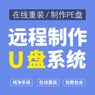 pe系统u盘pe系统启动u盘电脑装机系统重装新机开荒重装系统美化