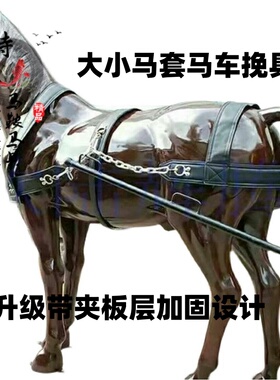 马车挽具马鞍可调节矮马套双马真皮马具通用马笼头马缰绳马术用品