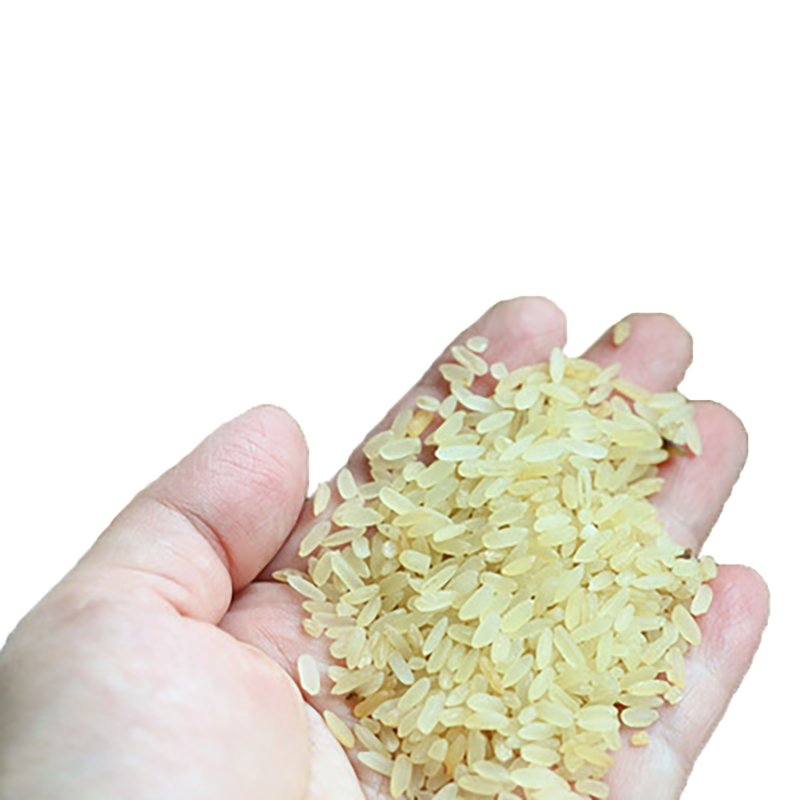 客家熟米五华菩米主食杂粮低升糖大米新米煲粥专用米包邮