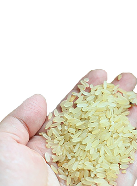 客家熟米五华菩米主食杂粮低升糖大米新米煲粥专用米包邮