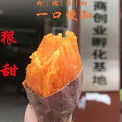 五华新鲜农家红皮产地直销红薯西瓜红地瓜蜜薯软糯紫薯5斤装10斤