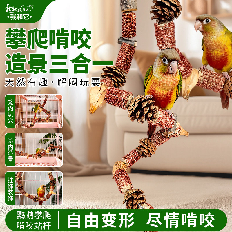 鹦鹉站杆架玩具攀爬绳牡丹小太阳磨嘴解闷专用爬梯磨牙棒鸟笼装饰图片