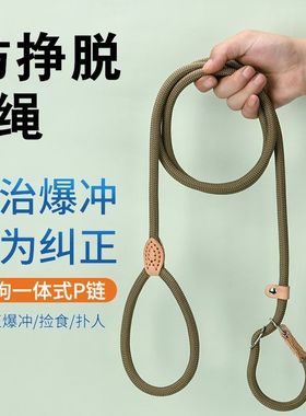 狗P绳防爆冲狗绳狗狗牵引绳遛狗P链小中大型犬加长狗链子训犬自动