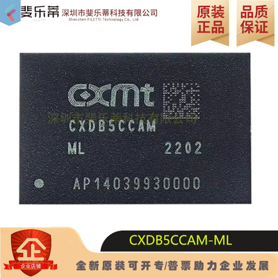 CXDB5CCAM-ML4GB运行内存芯片