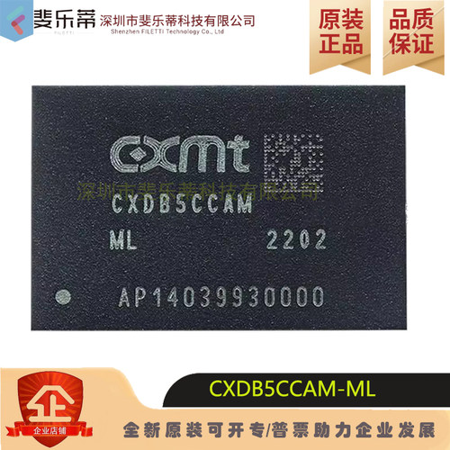 CXDB5CCAM-ML4GB运行内存芯片