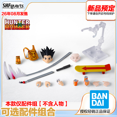 万代SHF试验篇可选配件组合