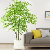 仿真绿植高端轻奢落地南天竹仿生植物室内客厅造景假树装 饰摆件花