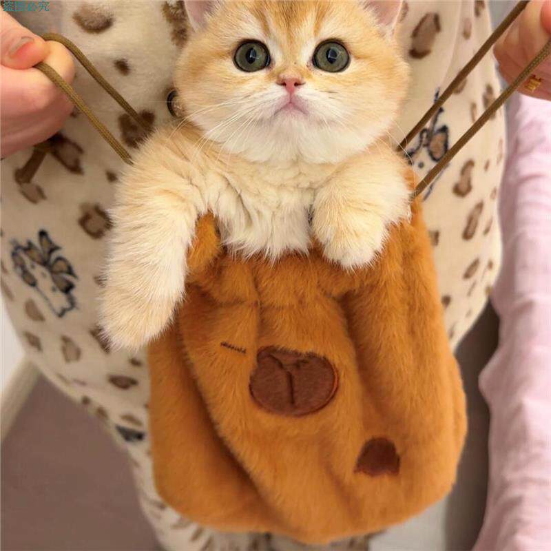 卡皮巴拉毛绒包可爱通勤大容量斜挎包创意抽绳水桶包甜美单肩挎包