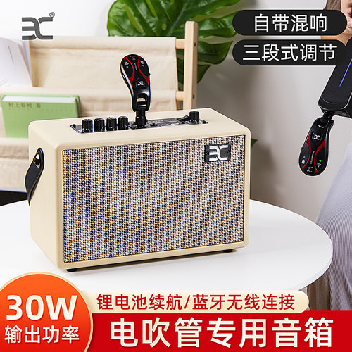伊诺乐器音箱30w大功率