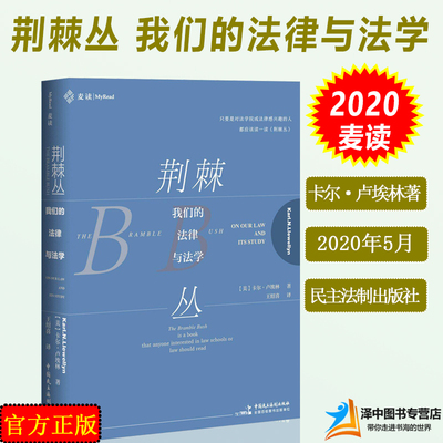 2020麦读新书 荆棘丛 我们的法律与法学 卡尔·卢埃林著 王绍喜译 法学院学生法律人床头读物书籍经典律师读物法学读物法律书籍