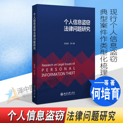 正版2022新书 个人信息盗窃法律问题研究 何培育 北京大学出版社9787301332948