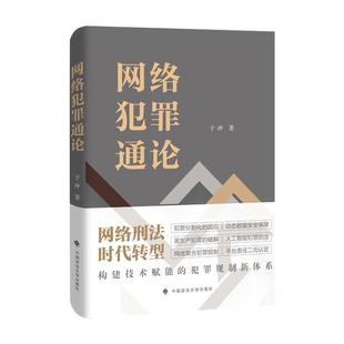 正版2025新书 网络犯罪通论 于冲 中国政法大学出版社9787576422498