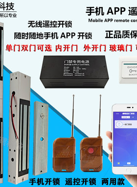 280kg单双门家用wifi手机智能锁