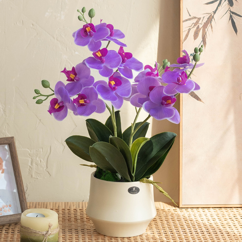 蝴蝶兰仿真花假花盆栽套装绿植室内家居高档装饰精致优雅花艺摆件
