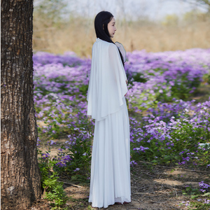 新中式立领国风连衣裙古风女装白色茶服仙气禅意设计感披肩禅服女