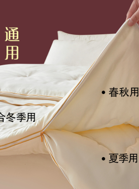 桐乡纯手工桑长丝被子母被二合一拉链款春秋被芯双人冬被四季通用
