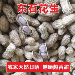 东石花生农家自晒梅州特产原味带壳新咸干花生坚果