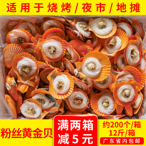 粉丝黄金贝冷冻大扇贝蒜蓉半壳