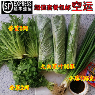 东北大白菜叶子农家饭包蘸酱菜组合小菜打饭包白菜苦菊蘸酱套餐