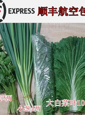 东北饭包大白菜叶饭包套餐蘸酱菜小葱香菜白菜叶子打饭包菜叶顺丰