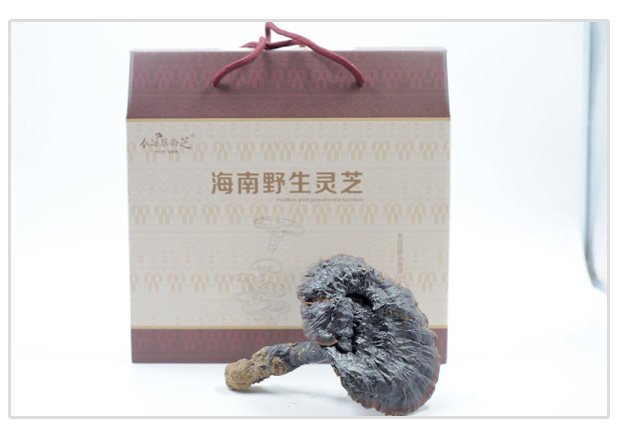 护元堂海南野黑灵芝  纯野生灵芝原生态五指山吊罗山 25g克