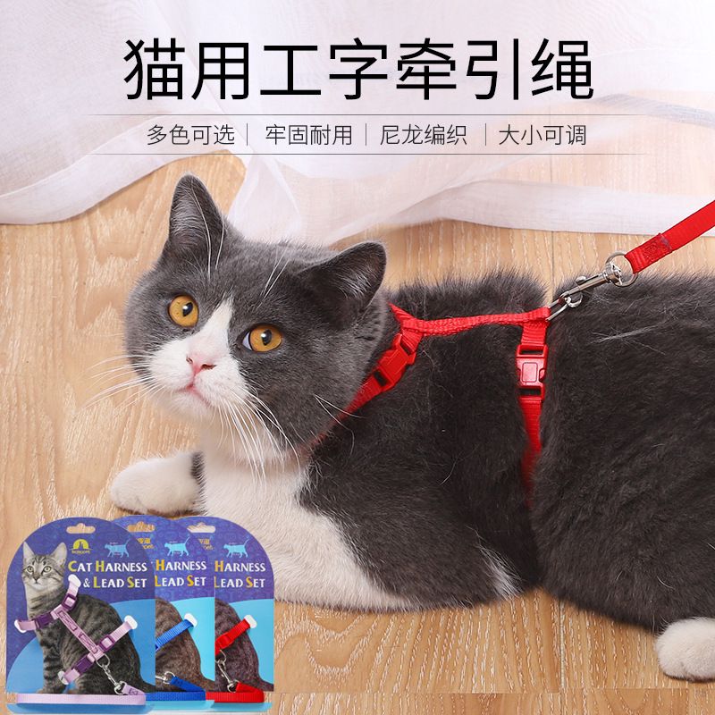猫咪专用防挣脱外出神器牵引绳