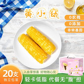2025黄小窈玉米东北甜糯玉米棒新鲜早餐低脂苞米20支非转基因冷冻