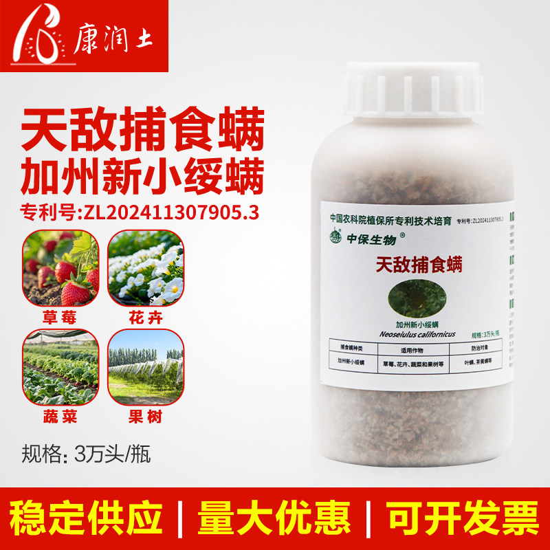 捕食螨 加州新小绥螨草莓大棚月季蔬菜生态种植红蜘蛛白蜘蛛天敌