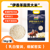 伊香羊脂贡大米5kg新疆68团 25年新米 长丰稻一级粳米