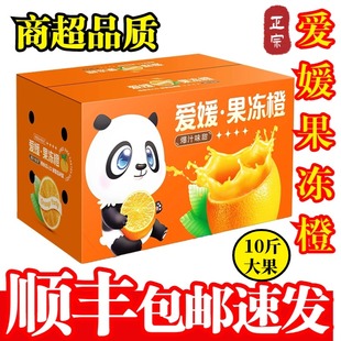 四川眉山爱媛38号果冻橙新鲜水果红美人橘子橙子10斤大果顺丰包邮