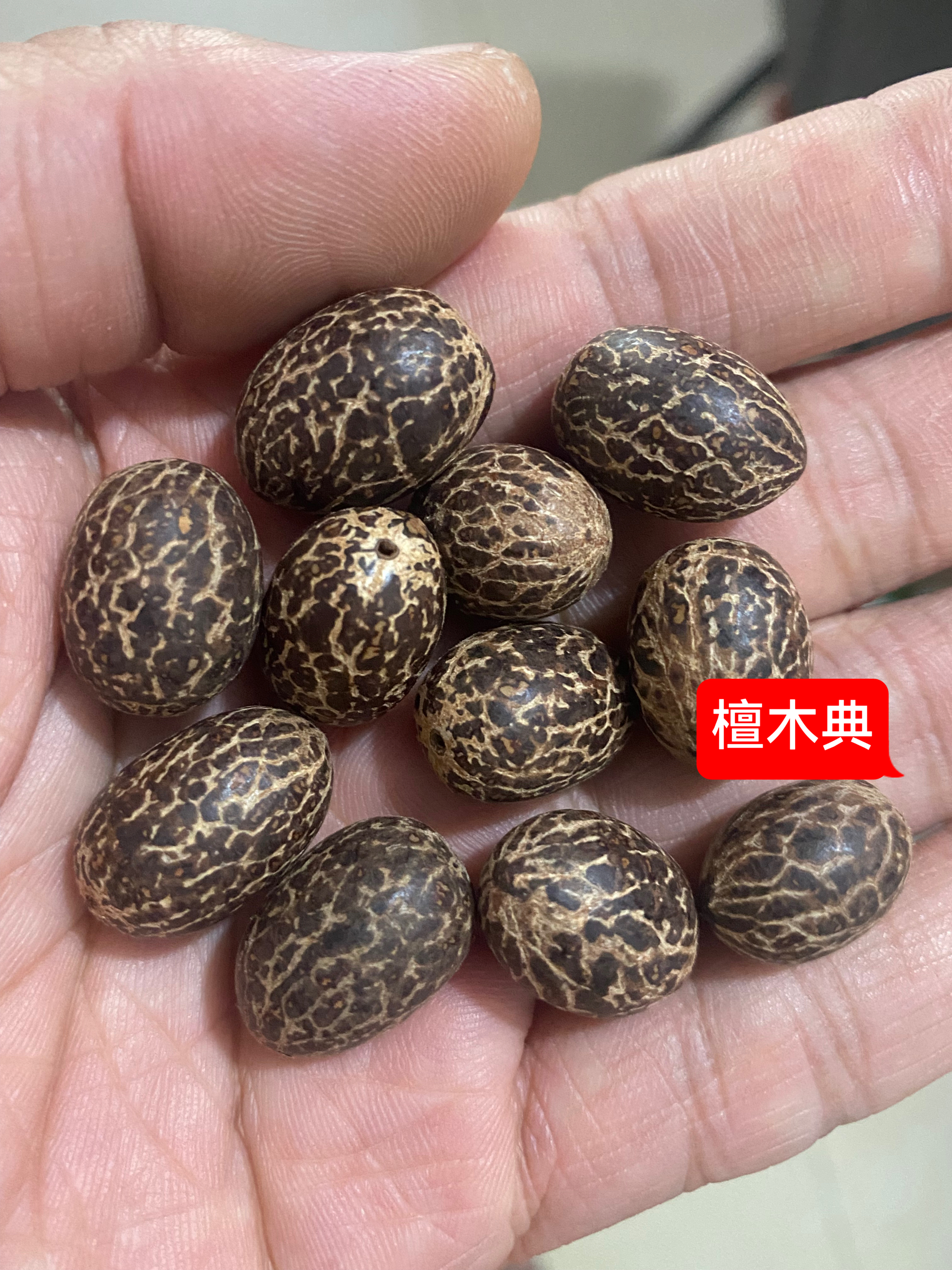 天然蜜瓜果菩提子原籽打磨散珠DIY配隔珠 单颗十八籽配珠车挂珠子