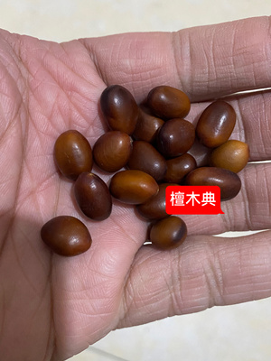 diy散珠9mm单颗菩提子