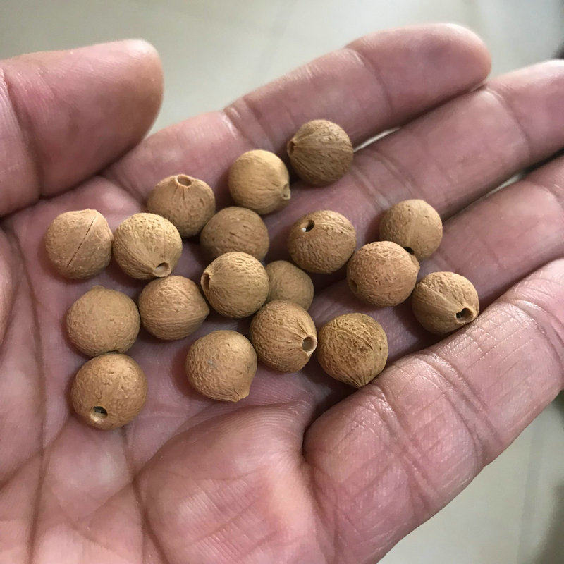 天然小桃红菩提子散珠籽diy珠