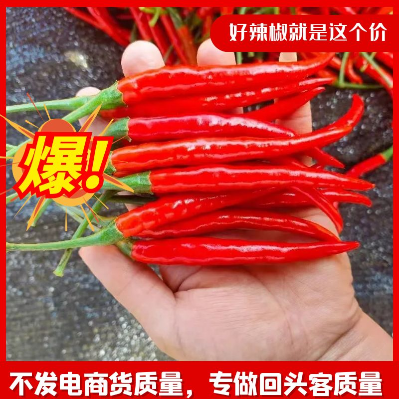 小米辣椒新鲜批发小米椒朝天椒特辣超辣薄皮土红辣椒指天椒