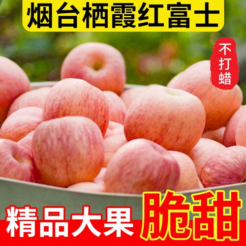 烟台栖霞红富士苹果脆甜多汁新鲜