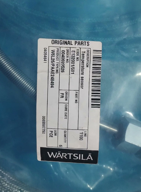 5132001/C01，0040699526，W6L26/PAAE248496热电偶