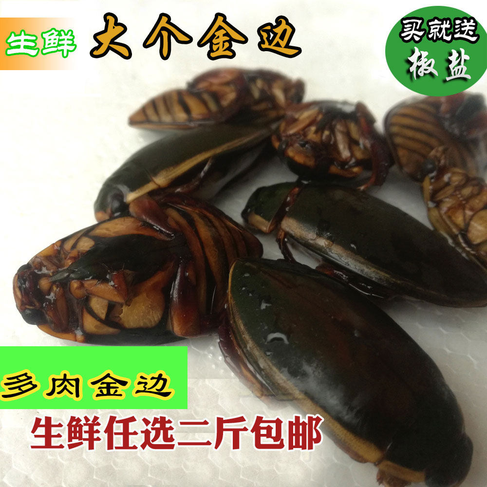 包邮新鲜新大金边龙虱 新鲜 水鳖 水蟑螂  活体速冻 食用 500g,水产肉类/新鲜蔬果/熟食,其它,淘宝优惠券,粉丝福利购,淘宝优惠卷