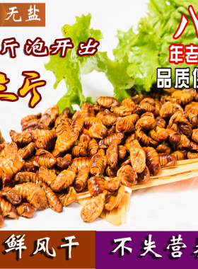 2025新鲜新桑蚕蛹干 纯干原味无添加 小蛹干货 干蚕蛹 包邮 蝉蛹