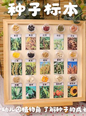 幼儿园环创材料成品走廊教室植物角种子标本科学自然区角材料投放