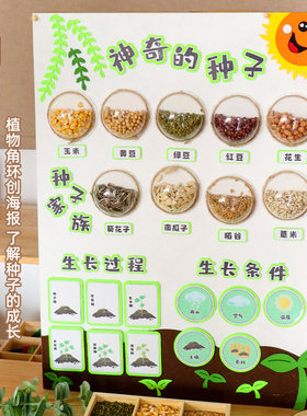 幼儿园区域主题墙面装饰材料春天环创种子植物布置教室美工区自然
