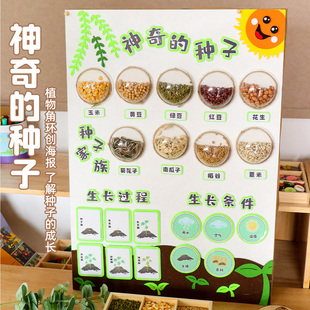 幼儿园区域主题墙面装饰材料春天环创种子植物布置教室美工区自然